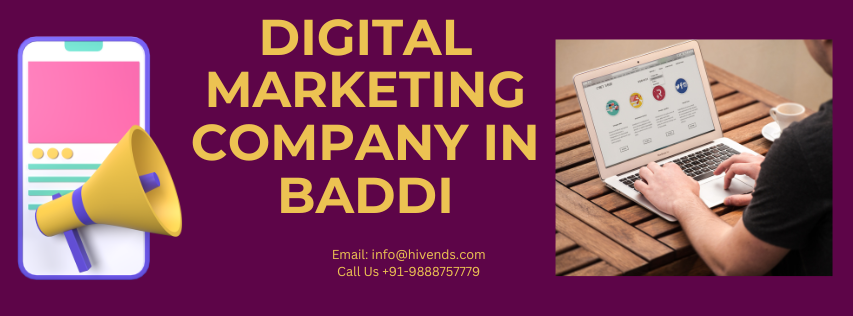 Digital Marketing Company in Baddi