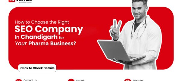 top SEO company in Chandigarh